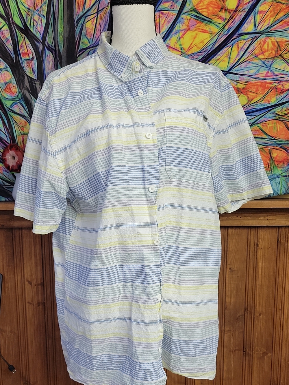 Vans Men's Short-Sleeve Button-Up Shirt in Light Blue and White Stripe